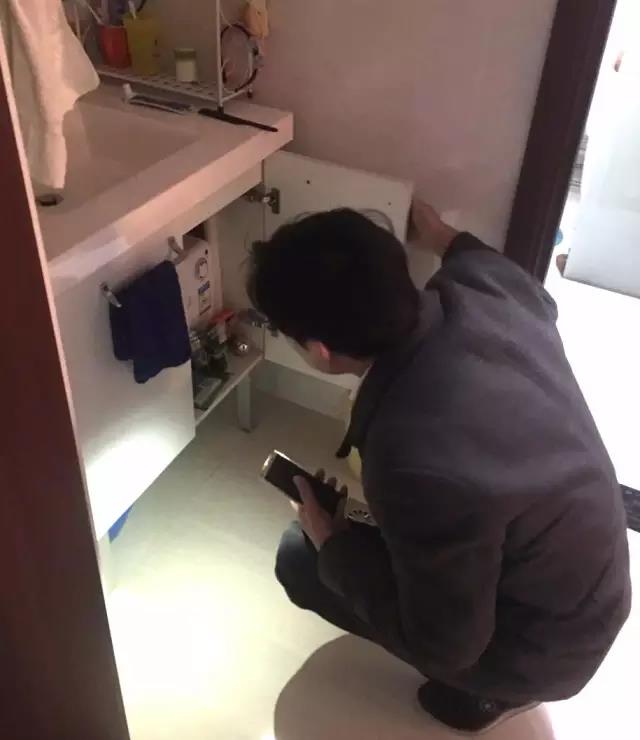 無錫紫蘋果裝飾