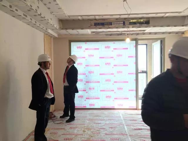 無錫紫蘋果裝飾