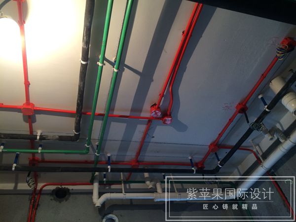 無錫紫蘋果裝飾