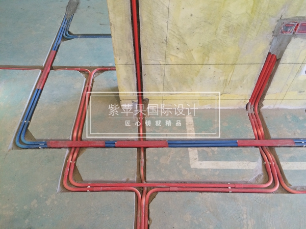 無錫紫蘋果裝飾