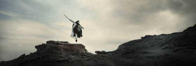 無(wú)錫紫蘋果裝飾