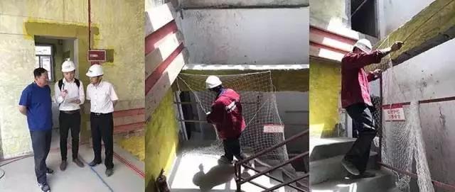 無錫紫蘋果裝飾