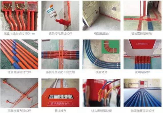 無錫紫蘋果裝飾