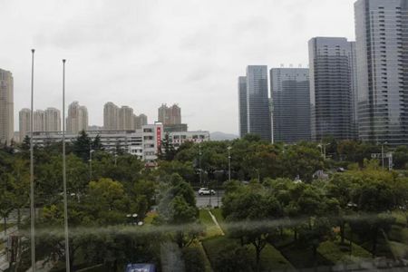 無(wú)錫紫蘋果裝飾