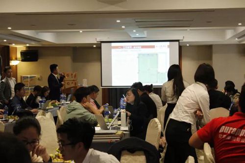 無錫紫蘋果裝飾