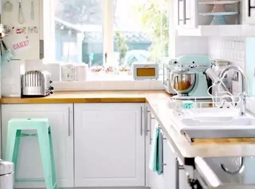 無錫紫蘋果裝飾