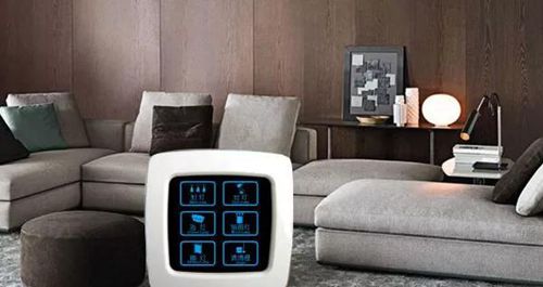 無錫紫蘋果裝飾