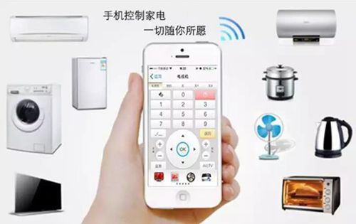 無錫紫蘋果裝飾