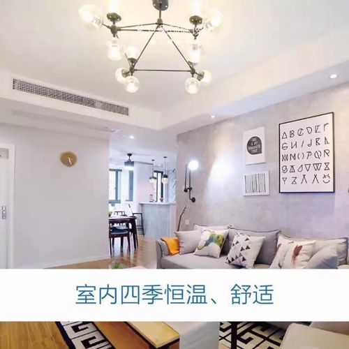 無錫紫蘋果裝飾