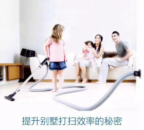 無錫紫蘋果裝飾