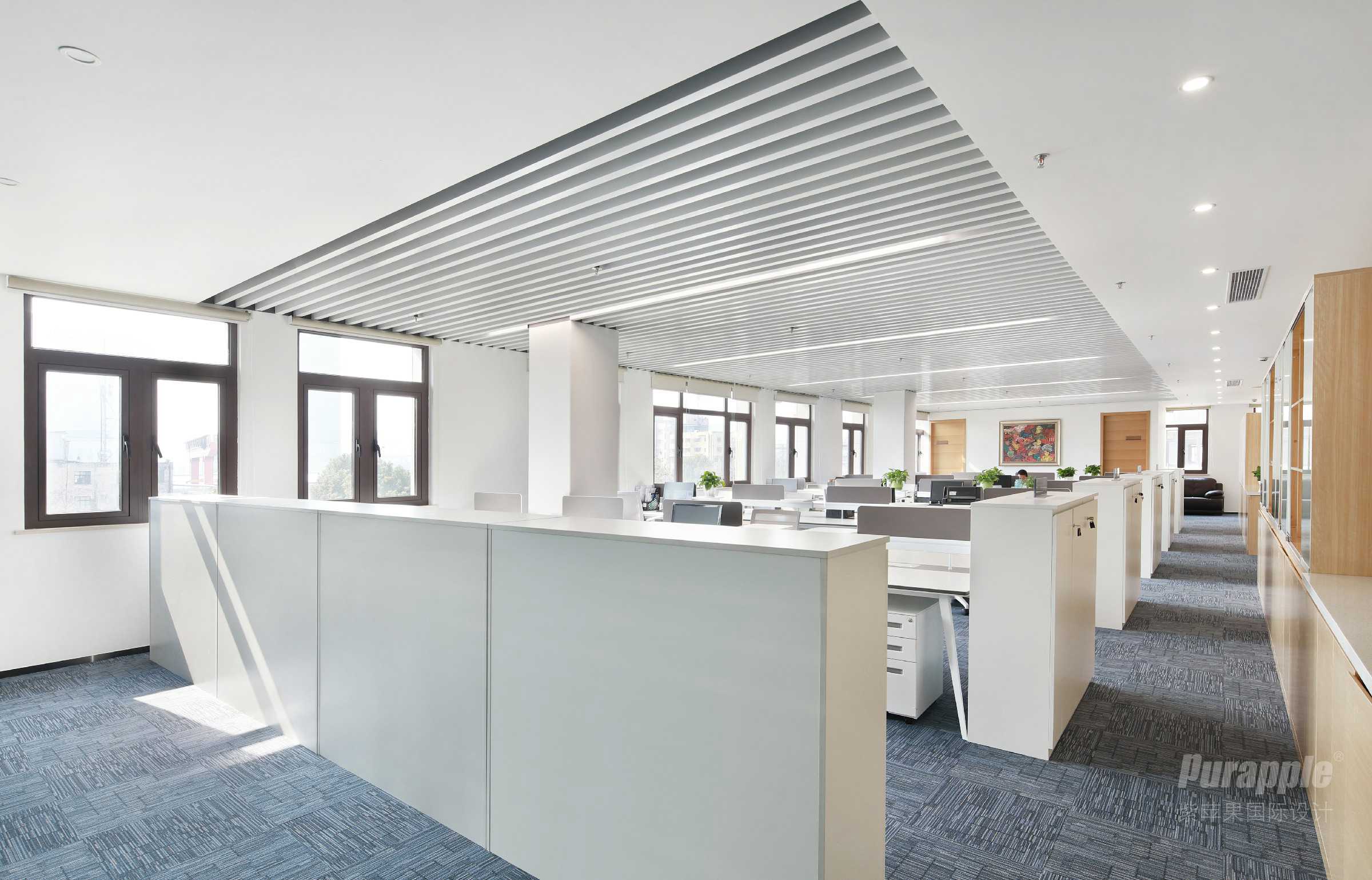 上海云欣路2000㎡生物科技辦公室