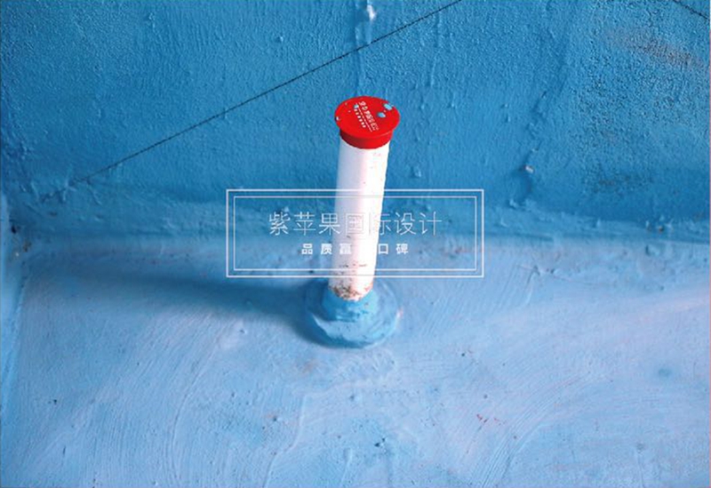 紫蘋果國(guó)際設(shè)計(jì) (2).jpg