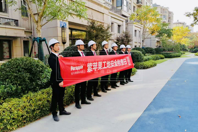 無錫紫蘋果裝飾 無錫紫蘋果裝飾