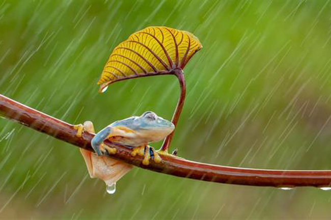 家庭裝修對房子的朝向有什么要求 家庭裝修對房子的朝向有什么要求